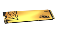 PUSKILL M.2 PCIE3.0 Haute vitesse et grande capacité NVME 128GB 256GB 512GB 1TB 2TB SSD