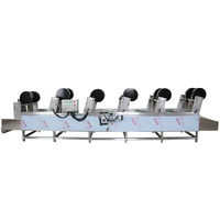 Capaciteit 800kg/uur SUS304 Automatische Frieten Appel Pinda Was- en Droogmachine Fruit Groente Schijven Lucht Droogapparatuur