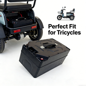 Paquete de Baterías de Alta Densidad de Potencia de 48 V y 30 Ah para Patinetes Eléctricos - Product Image 1