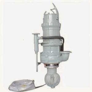 Pompe à eaux usées submersible, pompage efficace sous l'eau pour environnements difficiles - Product Image 1