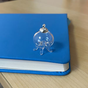 Nouveau design poisson <span class=keywords><strong>Marimo</strong></span> Moss Ball Bio Orb Bowl Terrarium avec Sea Fan Aqua Ecosphere Plante vivante Sphères géométriques en verre creux - Product Image 5