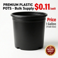 Pot de pépinière en plastique noir durable pour petites plantes de jardin, de 1, 2, 3, 5, 7, 10, 15, 20, 25 et 7 gallons, pour usage domestique – Fournisseur direct usine