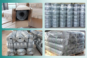 बिक्री के लिए सस्ती कीमत फील्ड बकरी पशु फार्म बाड़ - Product Image 5