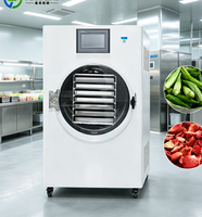 Gemakkelijk te bedienen vacuümpomp kleine vriesdroogmachine voor huishoudelijk en kleine bedrijfsgebruik kleine vriesdroogmachine