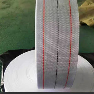 Cinta transportadora de polipropileno de 100 mm para la recolección de huevos en granjas avícolas, jaulas de gallinas ponedoras, recolección automática - Product Image 6