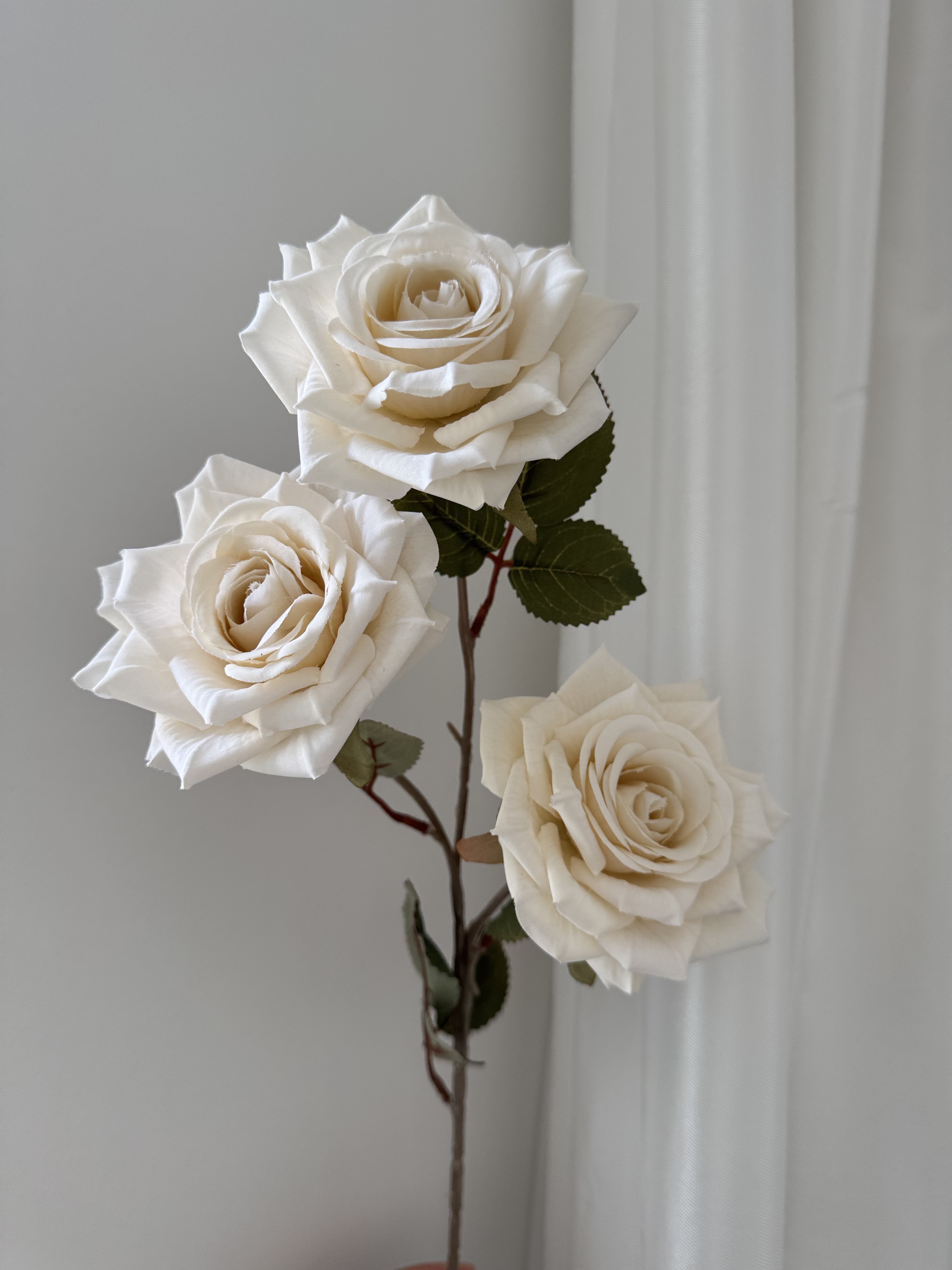 #1 Ivory White