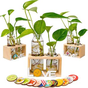 Terrarium de plantes avec support en bois, Vase en verre à Tube de jardinière à Air, décoration hydroponique de la maison, du jardin et du bureau-Propagation des plantes - Product Image 1