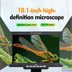 Microscope numérique <span class=keywords><strong>USB</strong></span> portable <span class=keywords><strong>2000X</strong></span> avec lumières LED pour l'inspection et la collection de bijoux de timbres de pièces - Product Image 4