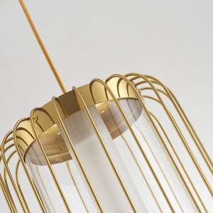 Lámpara Colgante de Cristal con Forma de Jaula de Pájaro, Diseño Minimalista Chino, Estilo Zen para Comedor, Altura Ajustable, LED Regulable - Product Image 4