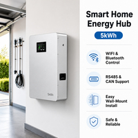 Batería de Litio LiFePO4 de 5kWh 10kWh 48V 51.2V 100Ah 200Ah para Almacenamiento de Energía Solar Montada en Pared, Sistema de Energía de Emergencia Fuera de la Red