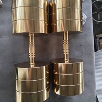 Haltères VIGFIT de luxe en chrome électro-plaqué or, équipement de musculation 200 kg, ensemble de poids de gym 2 pièces, logo laser