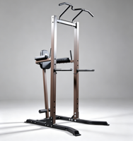 Tour de musculation multifonctionnelle pour tractions et dips, équipement de fitness pour usage domestique et commercial, rack d'entraînement de force pour entraînement complet du corps