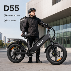 Vélo cargo électrique D55 48V 55Ah 20 pouces pliable avec frein à disque et 7 vitesses, cadre en alliage d'aluminium - Product Image 1