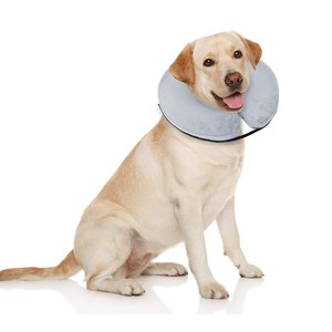 Cirugía protectora Cono inflado Donut suave Recuperación Salud Inflable Collar de perro mascota para perro - Product Image 2