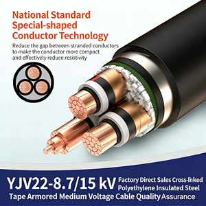 สายไฟฟ้าแรงสูง FY-YJV22 87/15kV ป้อง<span class=keywords><strong>กัน</strong></span>แมลง ป้อง<span class=keywords><strong>กัน</strong></span>ไฟลุก ทนไฟ แบบตีเกลียว 3 แกน ตัวนำอะลูมิเนียม หุ้มเหล็ก - Product Image 2