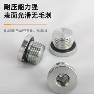 Presse-étoupe 4BN-WD en acier au carbone galvanisé, filetage extérieur, bouchon hexagonal pour tubes britanniques avec joint en caoutchouc pour l'étanchéité - Product Image 4