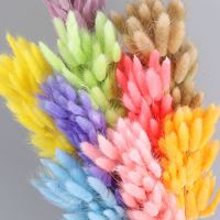 Lovebay Herbe de queue de lapin naturelle préservée, herbe de pampa, bouquet de fleurs séchées pour la décoration bohème de la maison, arrangements floraux