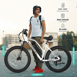 EE. UU. Stock 48V 13AH 500W Fat Tire Mountain Ebike Multi Modo Pantalla LCD Sport Ebike Step Thru - Product Image 2