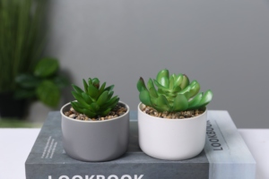 Jardinière succulente moderne européenne personnalisée petits Pots de plantes décoratifs en céramique pot de bonsaï de fleur en terre cuite d'intérieur pour plantes - Product Image 4