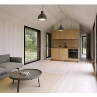 Conteneur moderne de 20 pieds et 40 pieds à assemblage rapide, vente directe du fabricant, bureau temporaire pour hôtel, maisons en bois