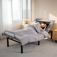 Cadre de lit électrique intelligent inclinable moderne en gros avec moteur allemand réglable, charge maximale 300 kg, pliable, gris, pour chambre et villa