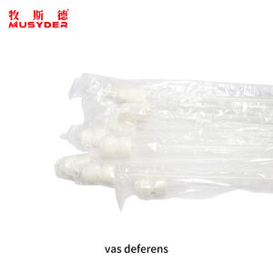 อุปกรณ์ผสมเทียมสุกร มูซิเดอร์ สายสวนใส่สเปิร์มสุกร สำหรับฟาร์มสุกร - Product Image 4