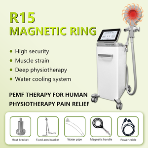 Magnetothérapie non invasive populaire en physiothérapie / Analyseur <span class=keywords><strong>de</strong></span> peau par <span class=keywords><strong>magnétothérapie</strong></span>, appareil <span class=keywords><strong>de</strong></span> stimulation magnétique pour spa - Product Image 6