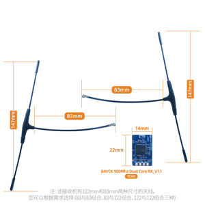 Récepteur longue portée BAYCK 915 MHz 868 MHz double cœur RX Diversity 1.3g Moule privé - Product Image 4