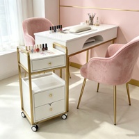 Chariot à outils amovible multifonctionnel au design moderne, chariot de rangement pour instruments de salon de beauté, chariot à outils amovible