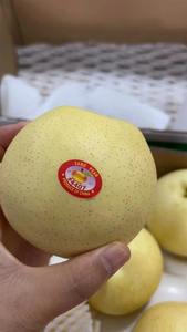 Poires fraîches <span class=keywords><strong>de</strong></span> la nouvelle <span class=keywords><strong>saison</strong></span> et poires Ya <span class=keywords><strong>de</strong></span> Chine, provenant du jardin <span class=keywords><strong>de</strong></span> poires, <span class=keywords><strong>de</strong></span> bonne qualité, vente en gros à bas prix, importation en vrac, poires couronne d'Asie - Product Image 2