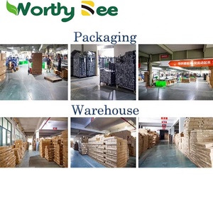 Doublure en papier jetable <span class=keywords><strong>pour</strong></span> friteuse 100pcs Doublure en parchemin de qualité alimentaire <span class=keywords><strong>pour</strong></span> four à <span class=keywords><strong>micro</strong></span>-ondes <span class=keywords><strong>pour</strong></span> friteuse à air double Accessoires de cuisson - Product Image 5
