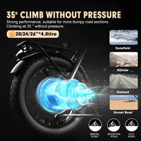 Kit de conversion VTT électrique 48V 750W avec moteur de moyeu avant sans balais, pneus 4.0, dropout 135mm, pour neige, 20 24 26 pouces