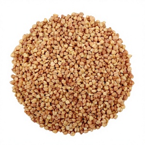 High Quality 30% Tartary <strong>Buckwheat</strong> Flavonoids Powder Tartary <strong>Buckwheat</strong> <strong>Extract</strong> Powder Pure Natural Food Grade - Product Image 2