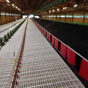 Conception moderne de plan de ferme de poulet de <span class=keywords><strong>construction</strong></span> de poulailler et fourniture d'équipement Système automatique de collecte des œufs - Product Image 3