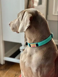 Disesuaikan tahan lama kulit PU kerah anjing reflektif nilon anyaman Tag nama ringan dekoratif paku keling fitur pelatihan hewan - Product Image 3