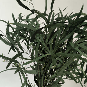 Suministro <span class=keywords><strong>de</strong></span> fábrica, venta al por mayor, eucalipto preservado, semillas <span class=keywords><strong>de</strong></span> sauce, eucalipto, eucalipto seco <span class=keywords><strong>de</strong></span> tacto real - Product Image 3