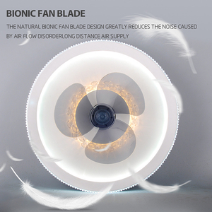 <span class=keywords><strong>Ventilateur</strong></span> <span class=keywords><strong>lustre</strong></span> nordique moderne <span class=keywords><strong>ventilateur</strong></span> de plafond lumière cealing <span class=keywords><strong>ventilateur</strong></span> <span class=keywords><strong>lustre</strong></span> 3500k <span class=keywords><strong>blanc</strong></span> chaud - Product Image 4