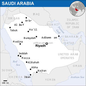DDU China a los Emiratos Árabes Unidos Servicio puerta a puerta Proveedor de logística aduanera Transporte marítimo DDP <span class=keywords><strong>Express</strong></span> DHL UPS Arabia Saudita Envío aéreo barato - Product Image 6