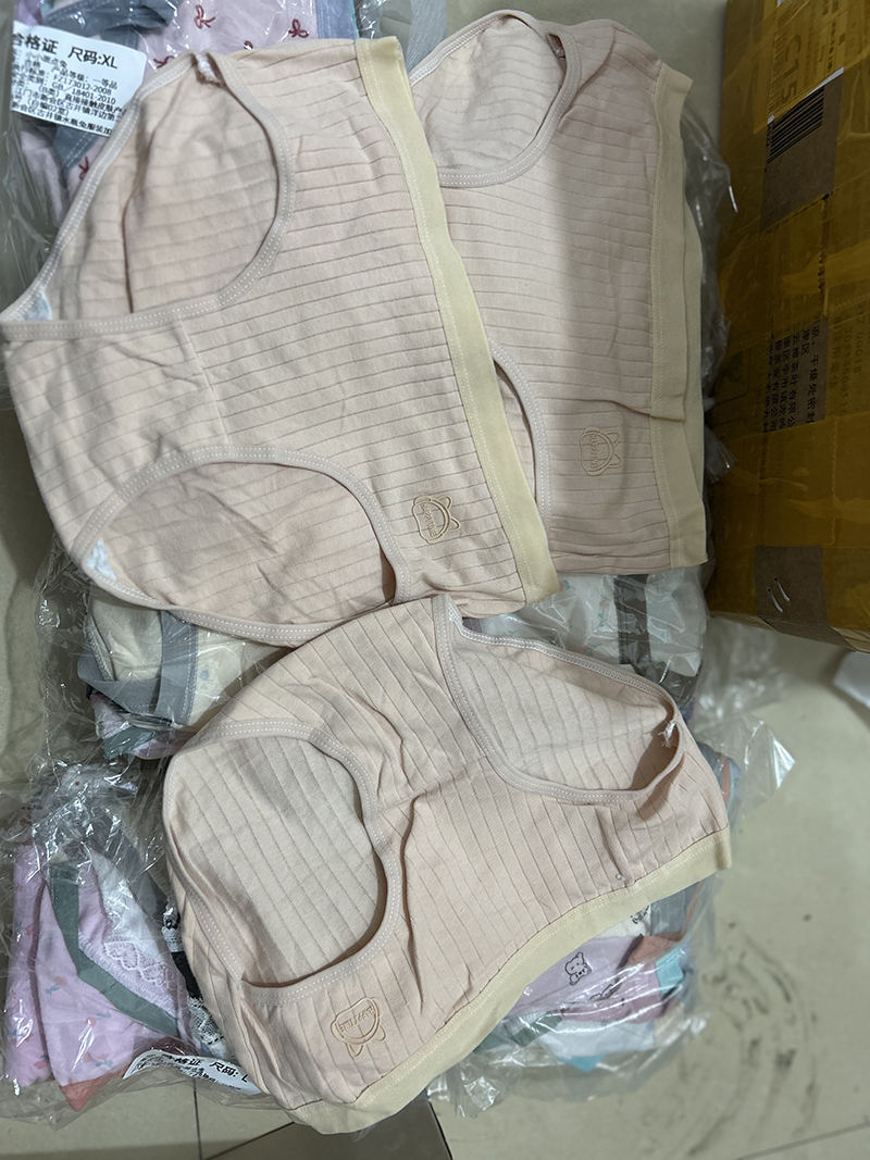 Bulk Stock Random China Supplier Cheap Price Women's Floral Pattern Mid-Rise Briefs Solid Color Underwear Panties