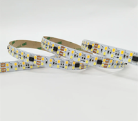 Bande lumineuse LED blanche double SMD 2835 240LED DMX512/UCS512B3 Pixel avec commande vocale en cuivre et mode DMX
