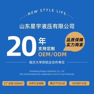 Cylindres hydrauliques électriques haute pression à double bride avant, grande capacité (50-120 tonnes), fournis directement par l'usine - Product Image 5
