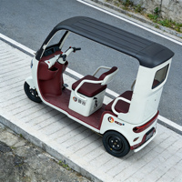 Mini Triciclo Eléctrico con Gran Autonomía, Protección Solar y Contra la Lluvia, para Compras y Multifuncional