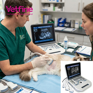 Ecógrafo Veterinario Portátil de Imágenes Nítidas con Sonda, <span class=keywords><strong>Precio</strong></span> de Ultrasonido Veterinario - Product Image 1