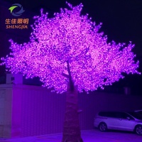 عرض ساخن: إضاءة شجرة القيقب الخارجية من شنغجيا ليد بتقنية RGB ومقاومة للماء IP65، بجهد 24-265 فولت، ضمان لمدة عام، مؤشر تجسيد الألوان 95، وعمر افتراضي يصل إلى 50000 ساعة