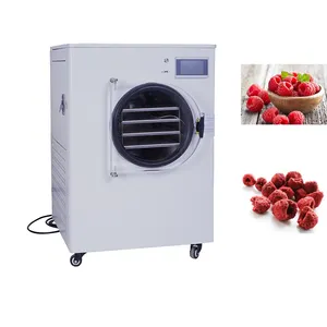 Multifunction Mini Freeze Dryer Lyophilizer Machine Small Food Processing Freeze Drying Equipment