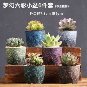 JM Rustic Home Décoration de bureau intérieure <span class=keywords><strong>Mini</strong></span> pots et jardinières <span class=keywords><strong>en</strong></span> céramique et porcelaine mignons pour plantes succulentes - Product Image 5
