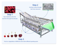 Machine de tri et de calibrage de fruits LONKIA, trieuse de taille, trieuse de poids, trieuse de rouleaux pour les myrtilles et les pommes de terre