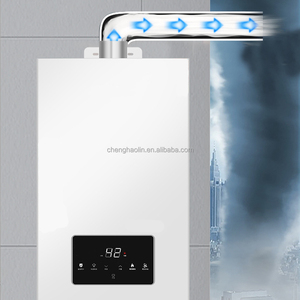 Chauffe-eau instantané au <span class=keywords><strong>gaz</strong></span> sans réservoir 10L en acier inoxydable avec échangeur de chaleur en cuivre <span class=keywords><strong>et</strong></span> évacuation forcée par cheminée pour <span class=keywords><strong>gaz</strong></span> naturel/GPL - Product Image 5