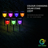 Lampe solaire mini à piquet F10 LED 10LM à changement de couleur, étanche IP65, pour décorer les allées, les pelouses et les jardins