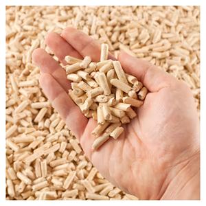 Granulés de bois de biomasse de qualité supérieure – Granulés de bois dur et de bois tendre de 6 mm / 8 mm pour le chauffage industriel et les centrales électriques - Product Image 3